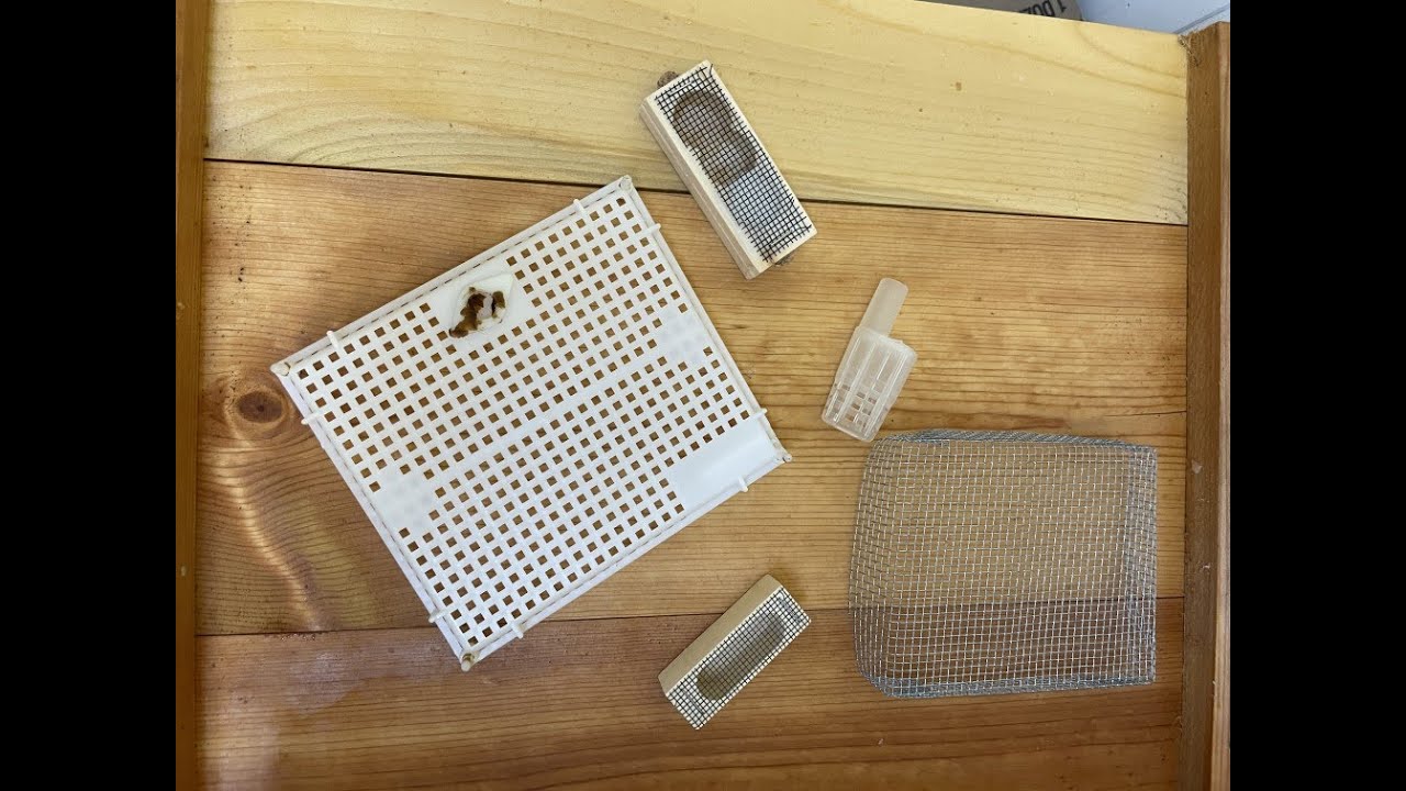 Push-in Queen Cages: A Queen Cage Can Make a Difference when Other Attempts Do Not Work