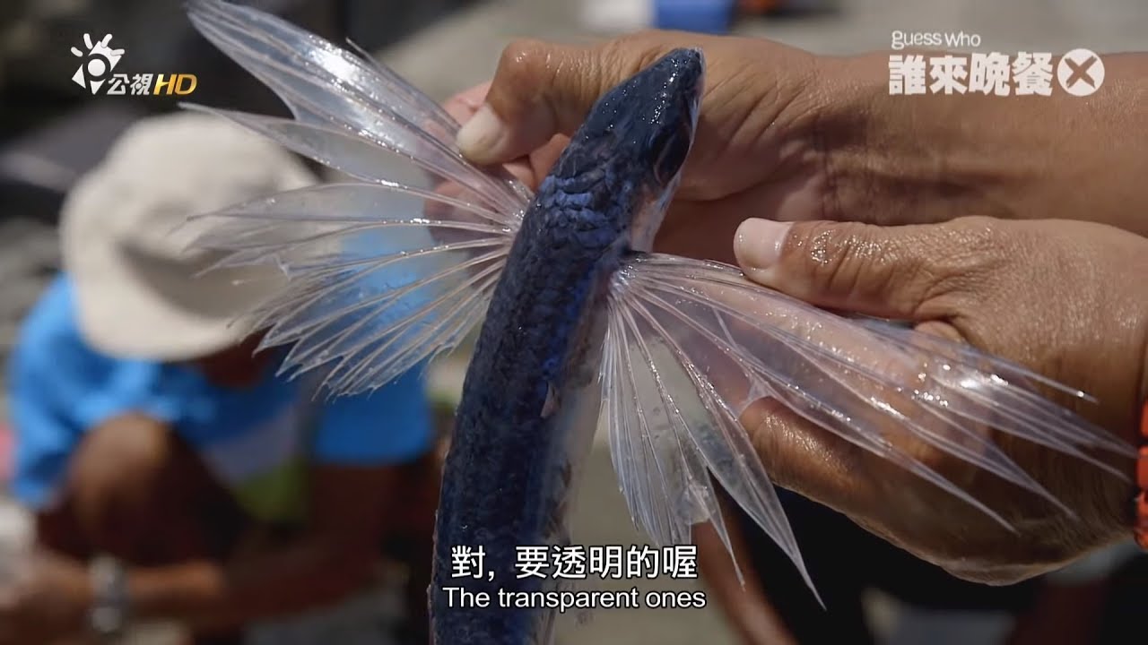 【誰來晚餐X-22】小島上的寶貝與惡靈（王世堅 陳永龍 黄尚禾）｜Guess Who ：Lanyu's Wealth & Waste