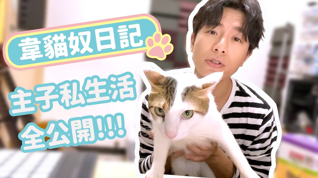 【貓咪共和國】主子私生活全公開！【韋禮安貓奴日記】