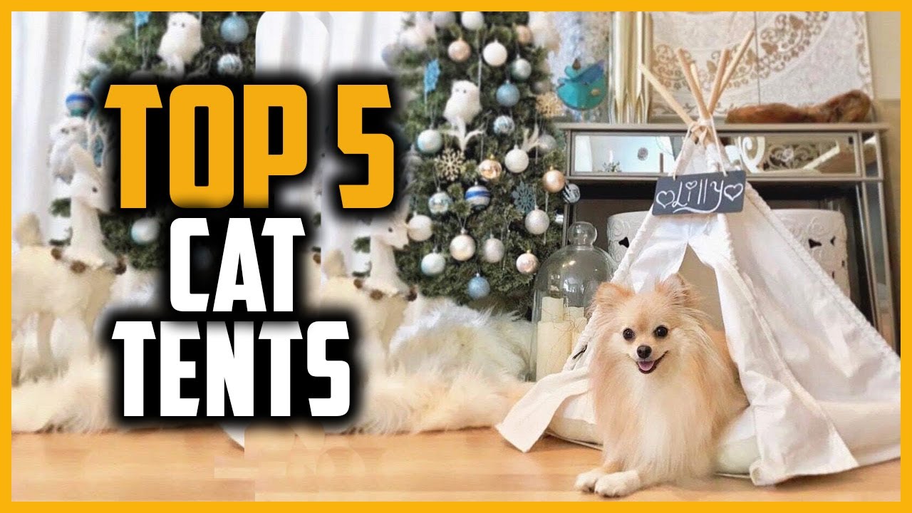 ✅Best Cat Tents in 2023