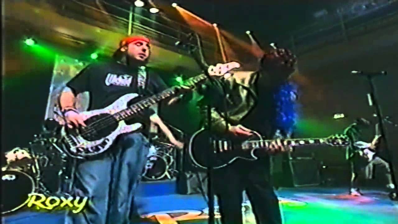 Zebrahead - Now or Never (Live 2001)