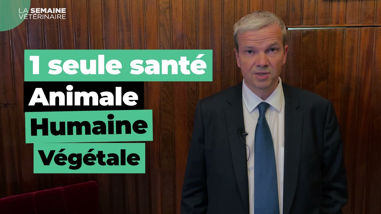 Entretien avec Marc Prikazsky, PDG de Ceva Santé Animale