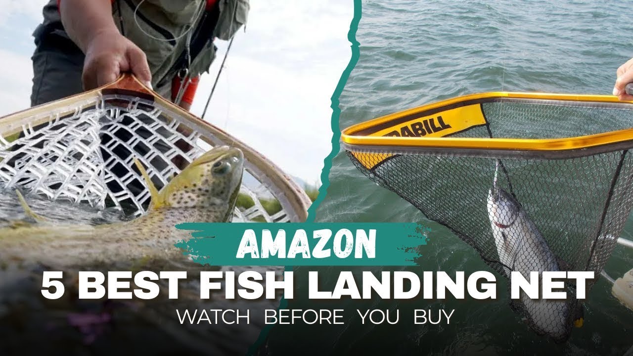 Best FISH LANDING NETS ON AMAZON BUY RIGHT NOW
