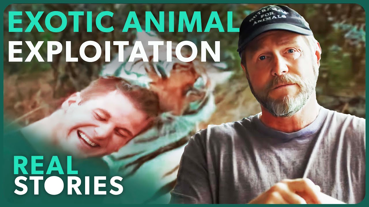The Shocking Truth About America's Most Famous Animal Experts