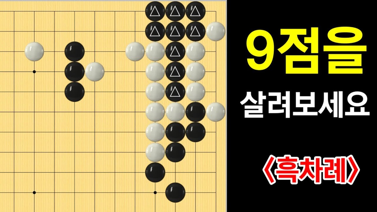 (바둑문제) 아주 멋진 수순이....