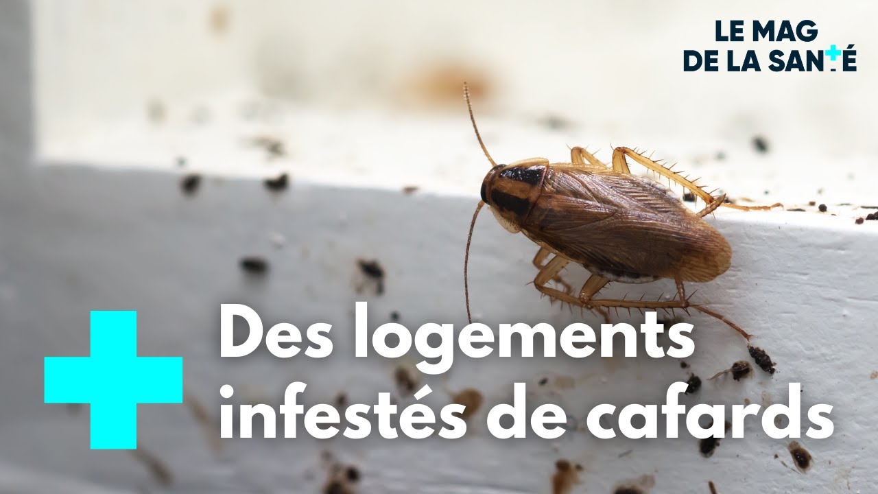 Étudiants, ils vivent dans des résidences insalubres - Le Magazine de la Santé