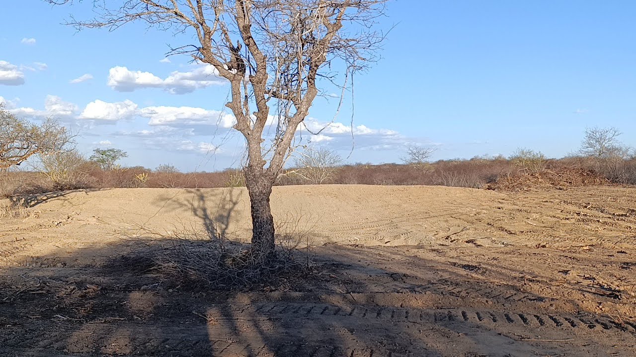 VAMOS VER NOSSA REALIDADE, A SECA ESTÁ FORTE NO CARIRI PARAIBANO.