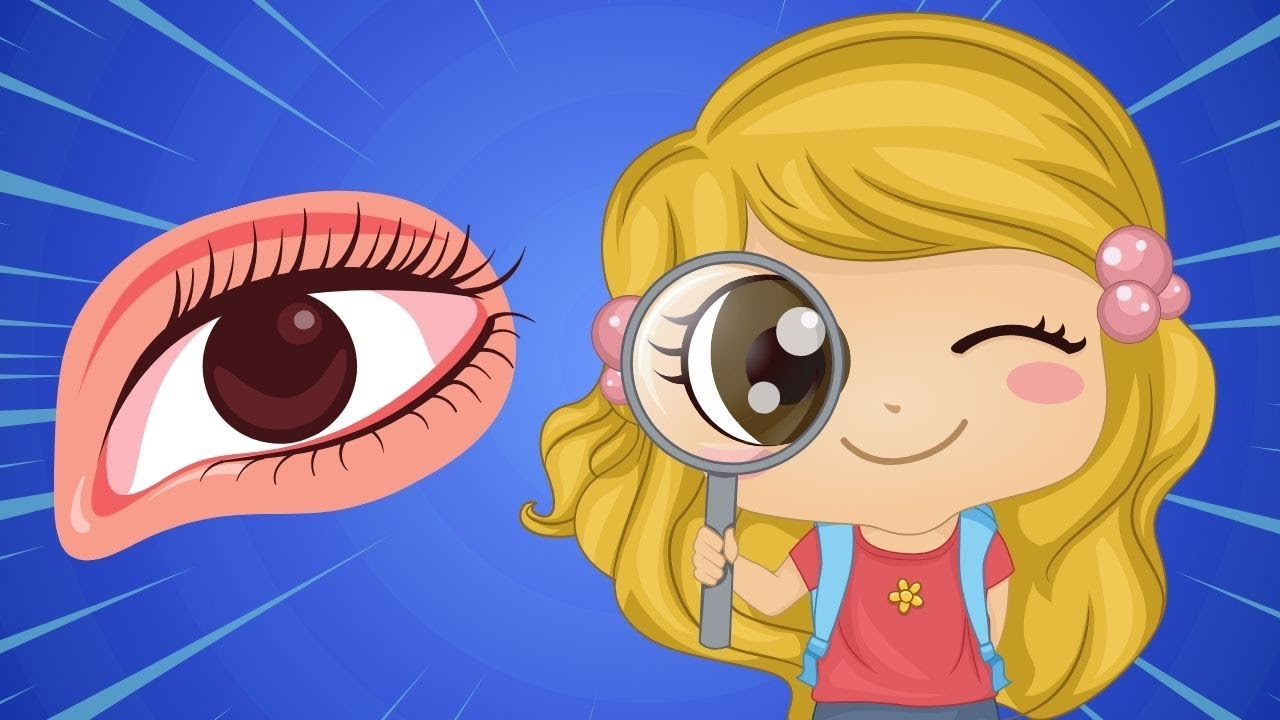 Preschool Learning Videos | Compilation 3 | Videos for Kids | Toddler Trailblazers