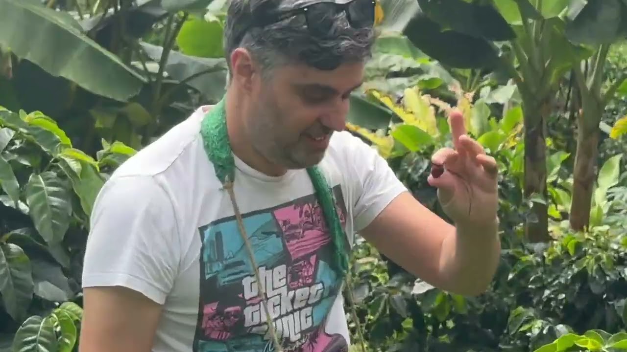 Touring A Coffee Farm In Colombia In The Mountains