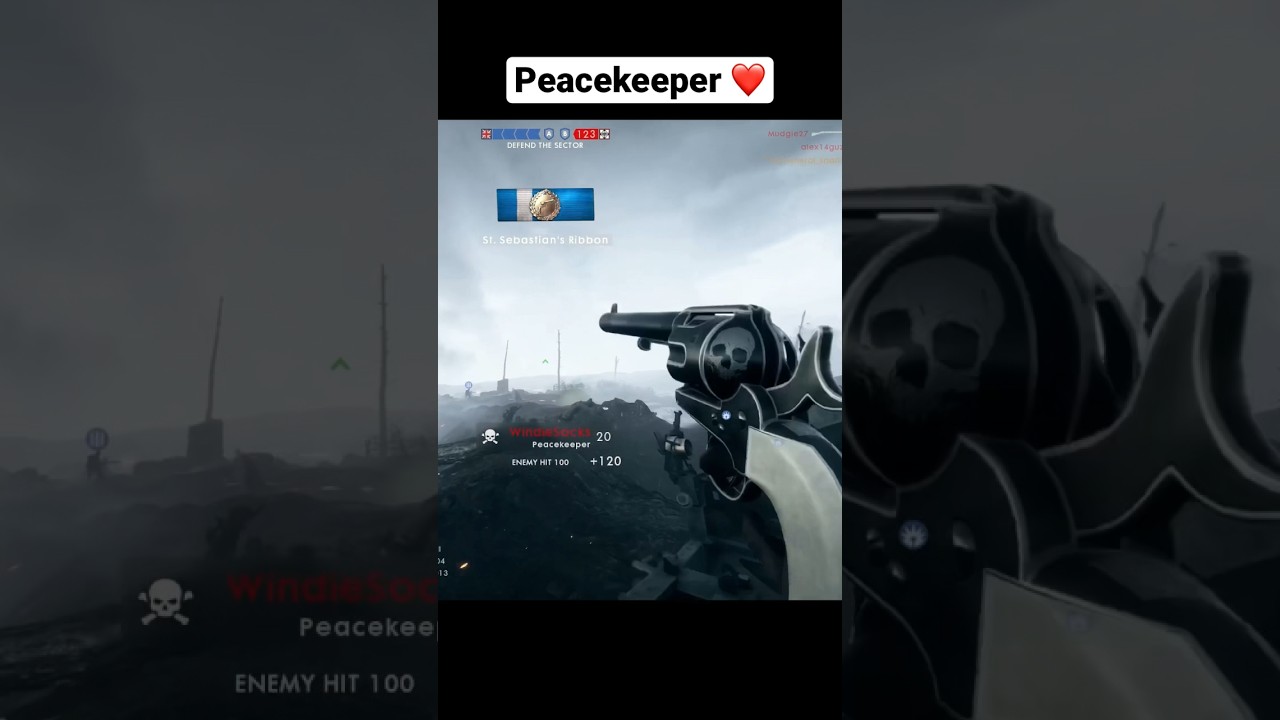 Peacekeeper snipes battlefield 1