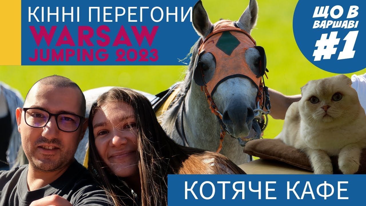 Котяче кафе Purr Purr та кінні перегони warsaw jumping 2023 - Що в Варшаві 1