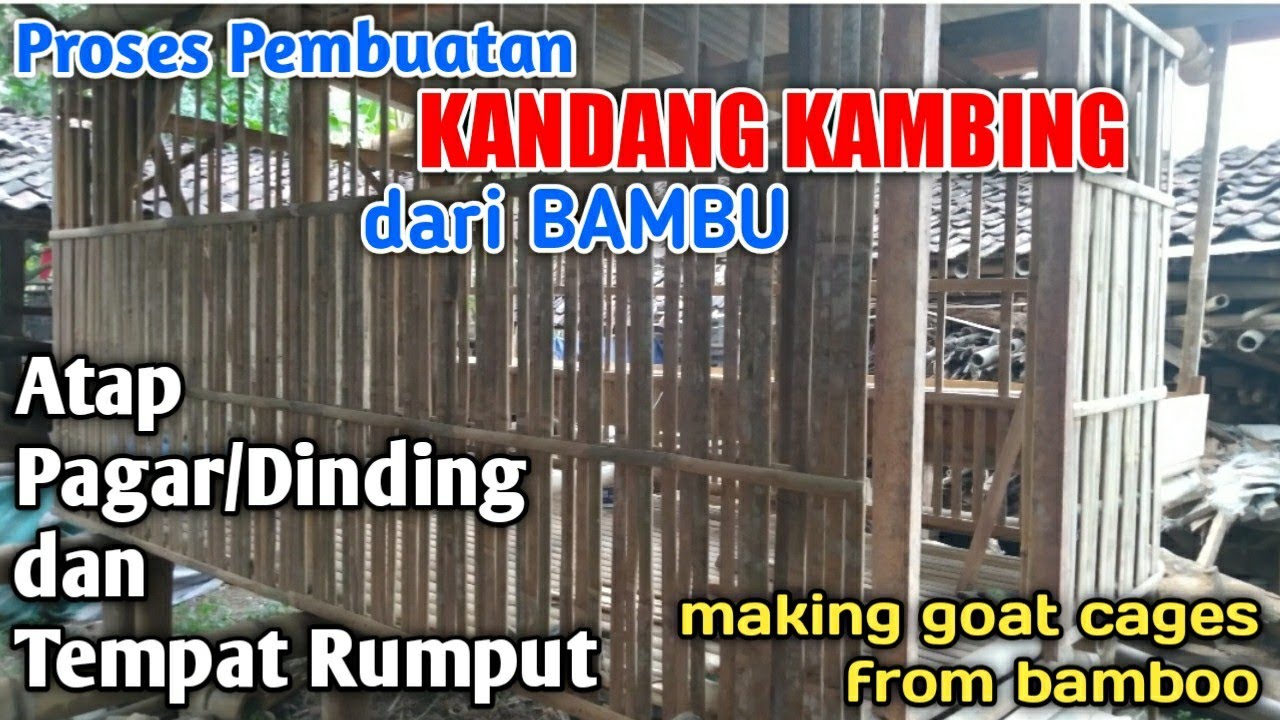 Kandang Kambing dari bambu // atap,tempat rumput,pagar dan tangga