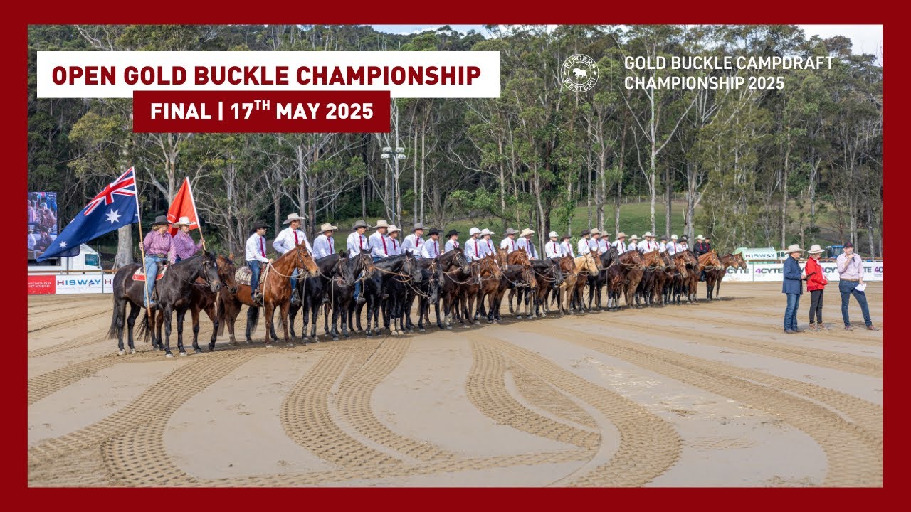 Open Gold Buckle Championship Final | Ringers Western Gold Buckle Campdraft Championship