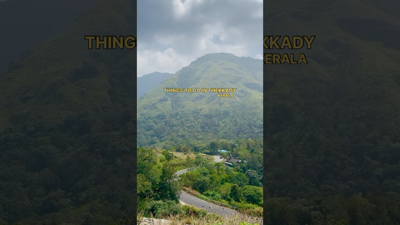 Things to do in Thekkady, Kerala #godsowncountrykerala #kerala