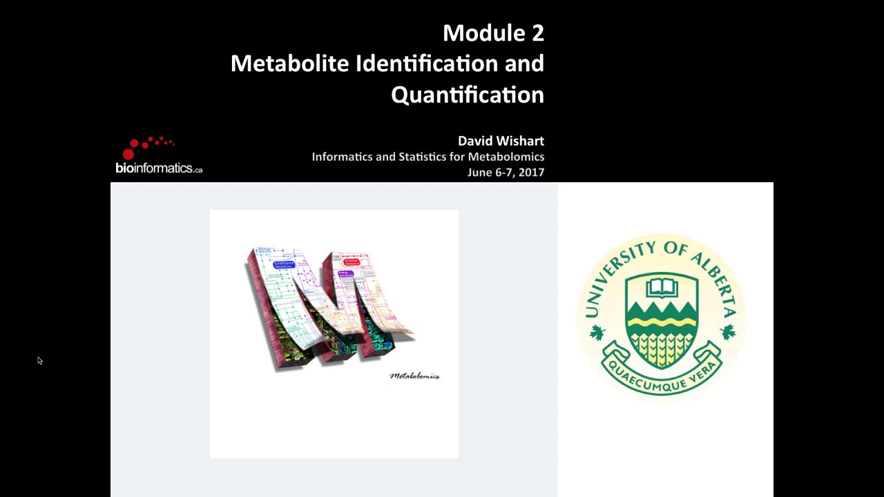 Metabolite Identification and Quantification