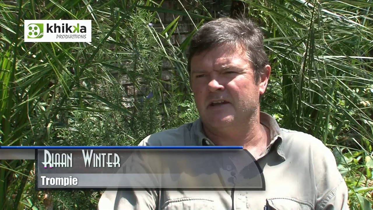 Trompie se tweede onderhoud
