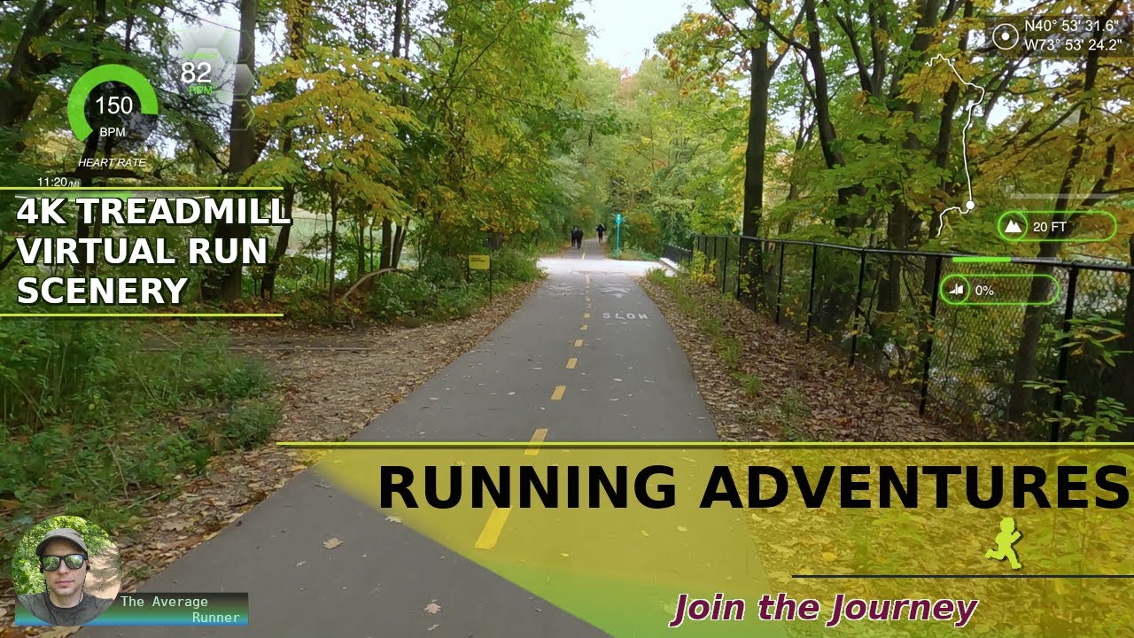 Chasing the Fall Colors Along the Putnam Trail | 4K New York Virtual Run [209]