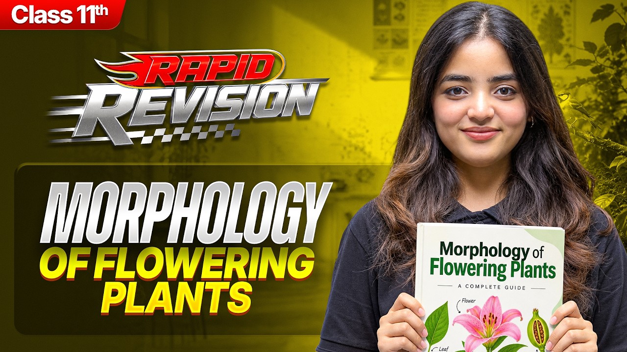 Morphology of Flowering Plants in 20 Min. | Class 11 Biology-Chapter 4 RAPID REVISION | CBSE 2026-27