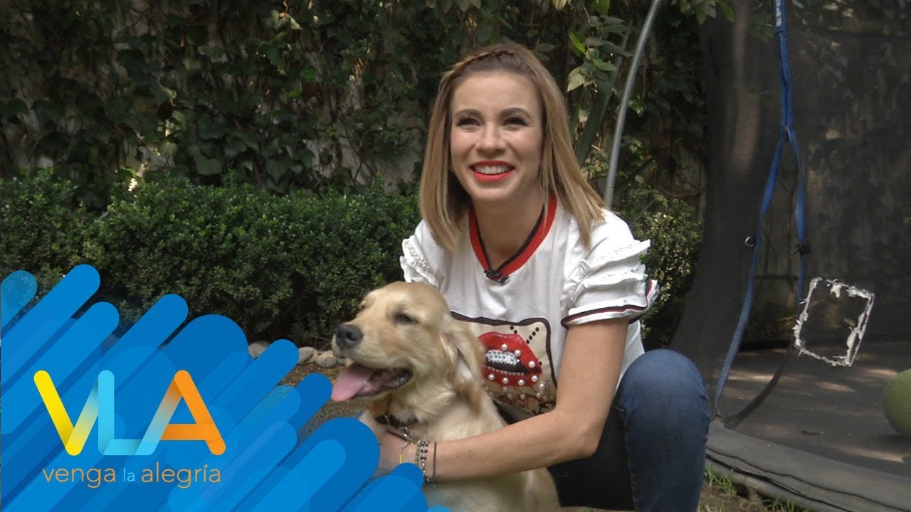 ¡Le ayudamos a Ingrid Coronado a que su perro deje de morder los muebles!
