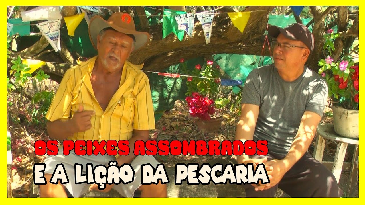 OS PEIXES ASSOMBRADOS E A LIÇÃO DA PESCA