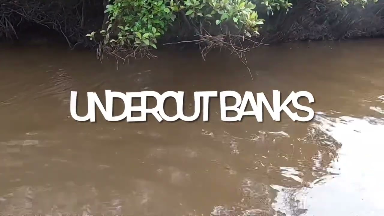Where to catch mudcrabs