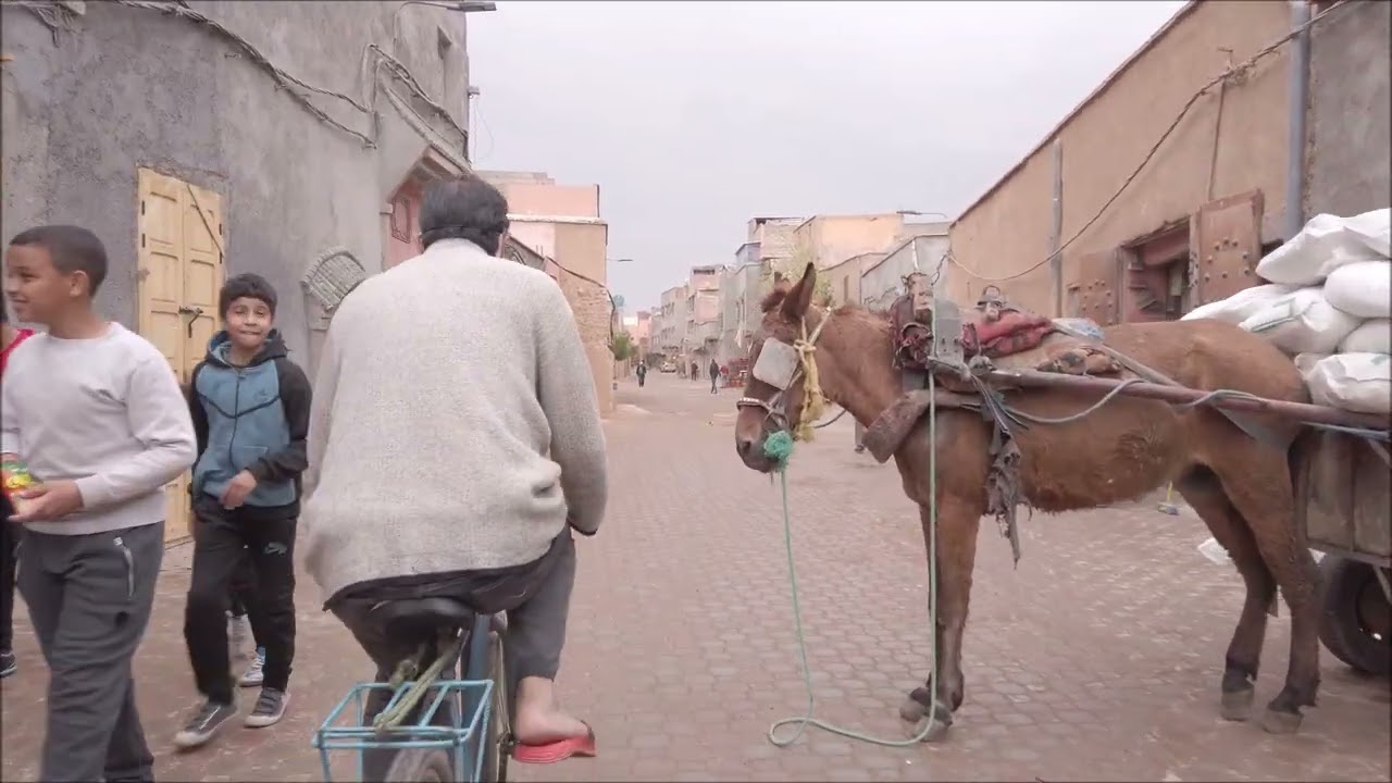 Quartir Bab- Bab Dbaghe