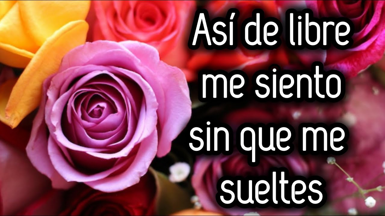 Así de libre me siento sin que me sueltes