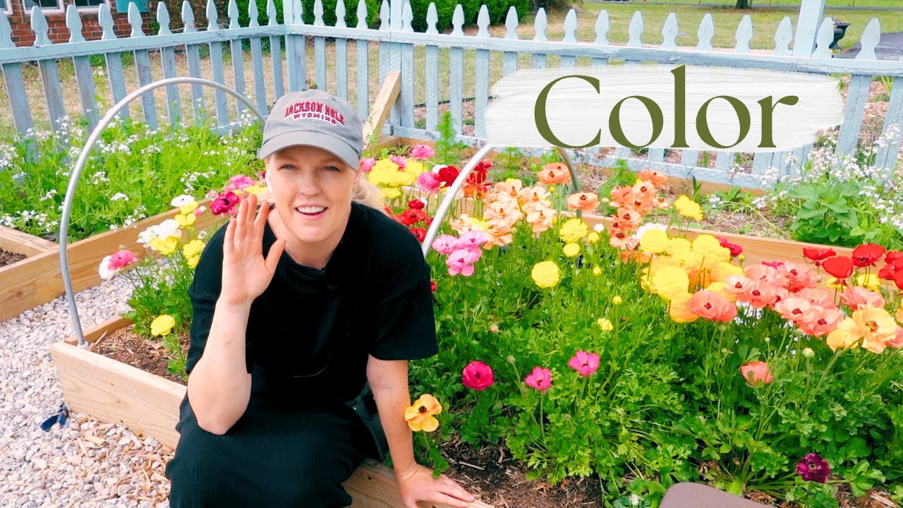 More Color in the Garden - Nursery Haul