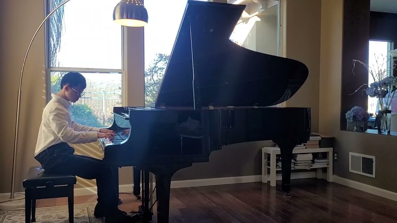 Beethoven - Piano Sonata No. 11 in Bb Major, Op. 22: 1. Allegro con brio, Evan Pai