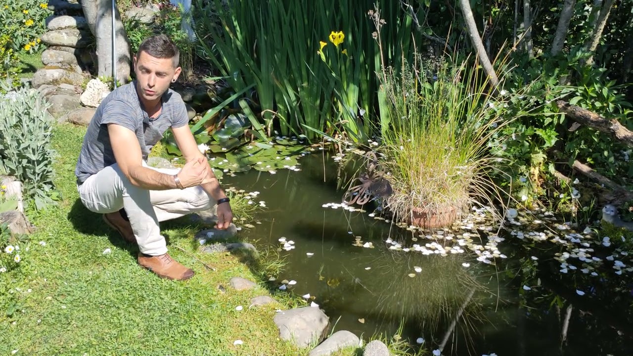 JARDIN PERMACULTURE Loïc GRAND TOUR PARTIE 2/2 le 8 Mai 2021