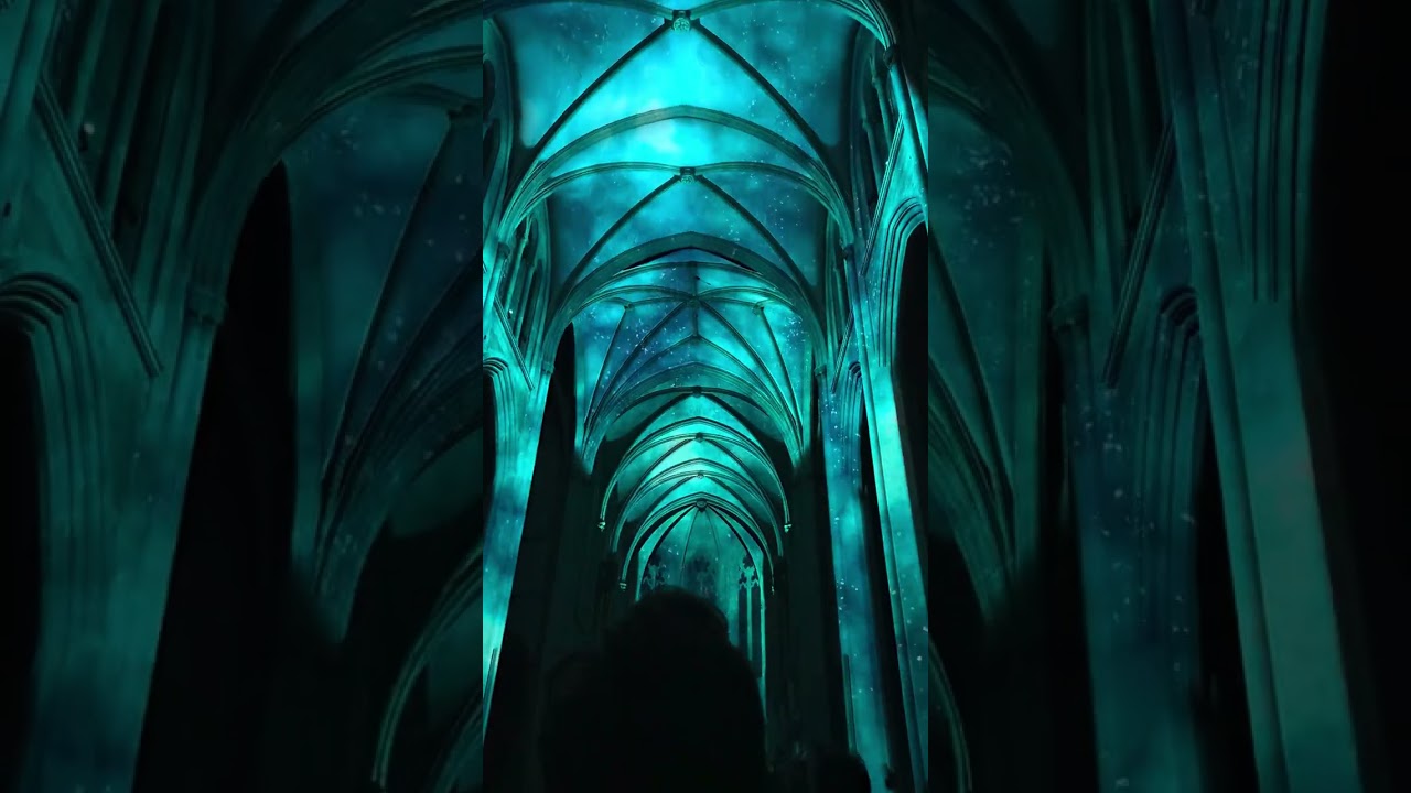 #AuraExperience 