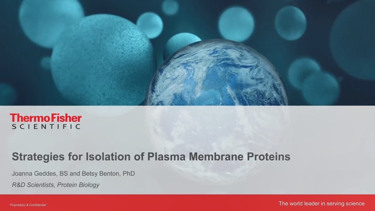 Strategies for isolation of plasma membrane proteins