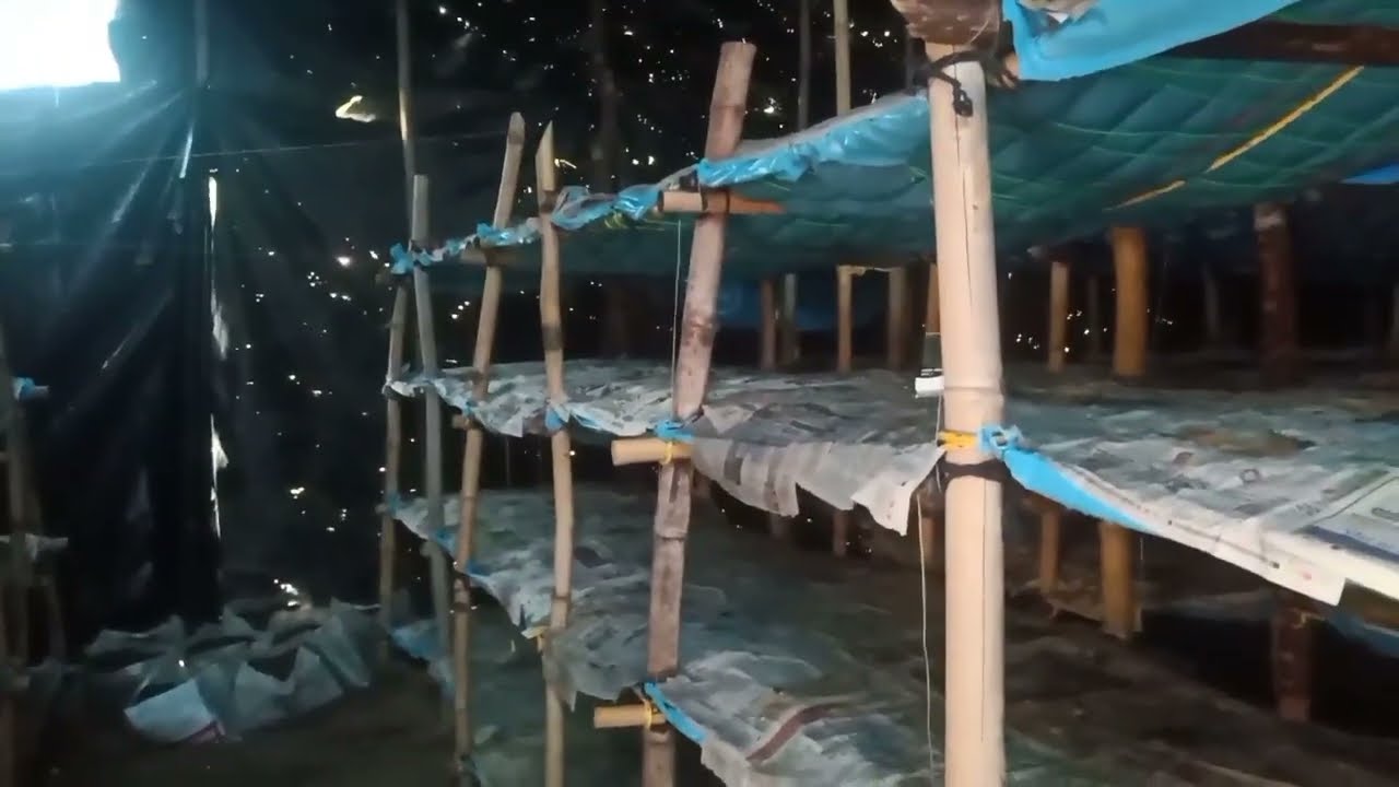 Mushroom Hut मशरूम की झोपड़ी कैसे बनाये 9210215738 7742009192