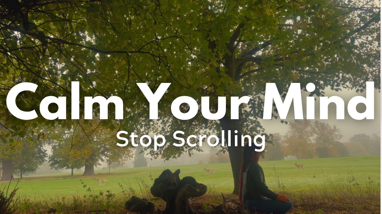 13 Minute Guided Meditation For Overstimulation. Calming Foggy Nature In Stamford UK.