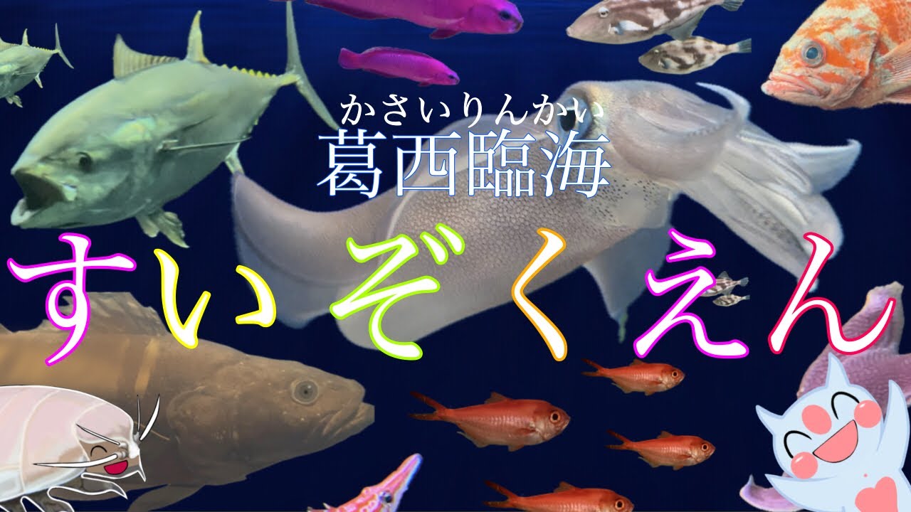 葛西臨海水族園でクイズ