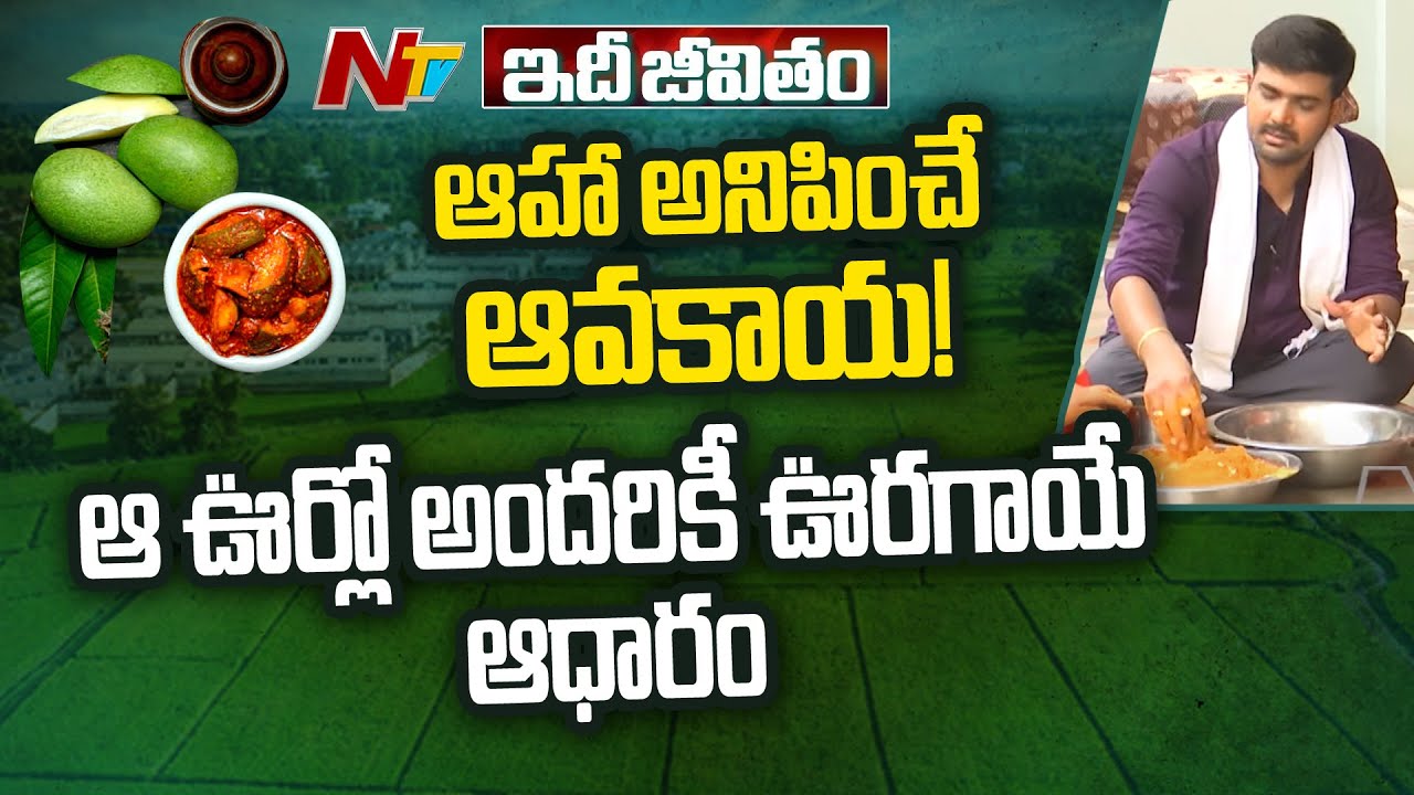 ఊరగాయలు ఎలా తయారుచేస్తారు? | Focus on Ankampalem Villagers' Lifestyle | Ntv Idhi Jeevitham