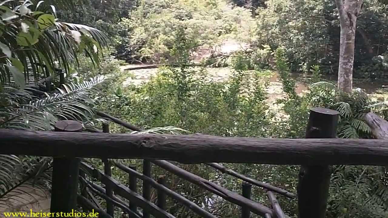 Diani Sea Lodge, Shimba Hills, Kenia 720p