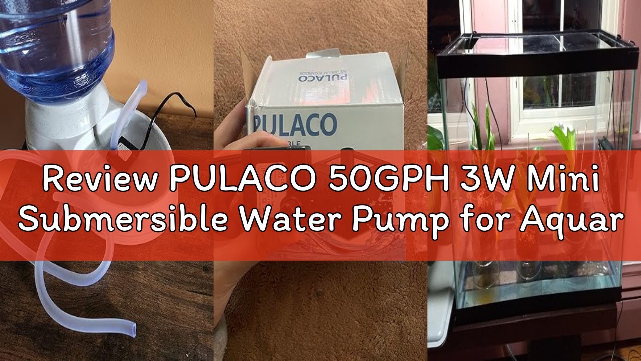 Review PULACO 50GPH 3W Mini Submersible Water Pump for Aquariums, Fish Tank, Pond, Fountain, Hydropo