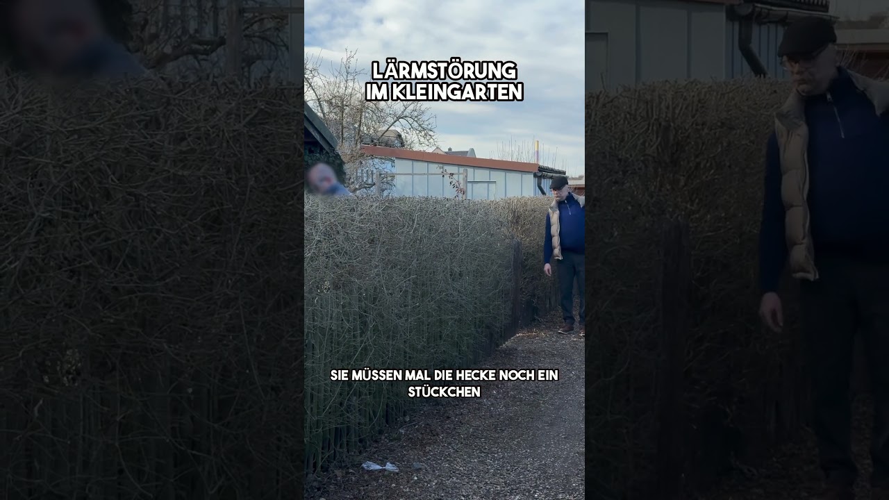 Am Ende eine H&ouml;llens&auml;ge! 😤#kleingarten #rentnerleben #l&auml;rm #senior #schrebergarten