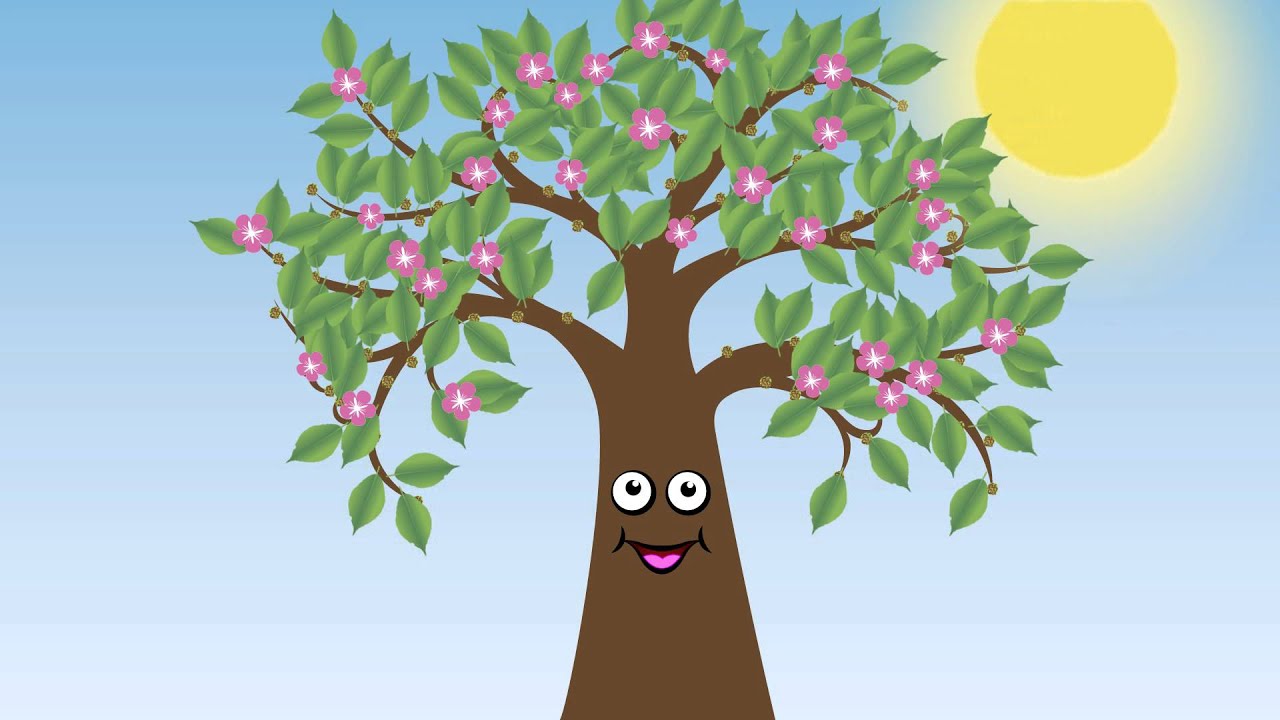 On Tu b'Shevat - Morah Leah