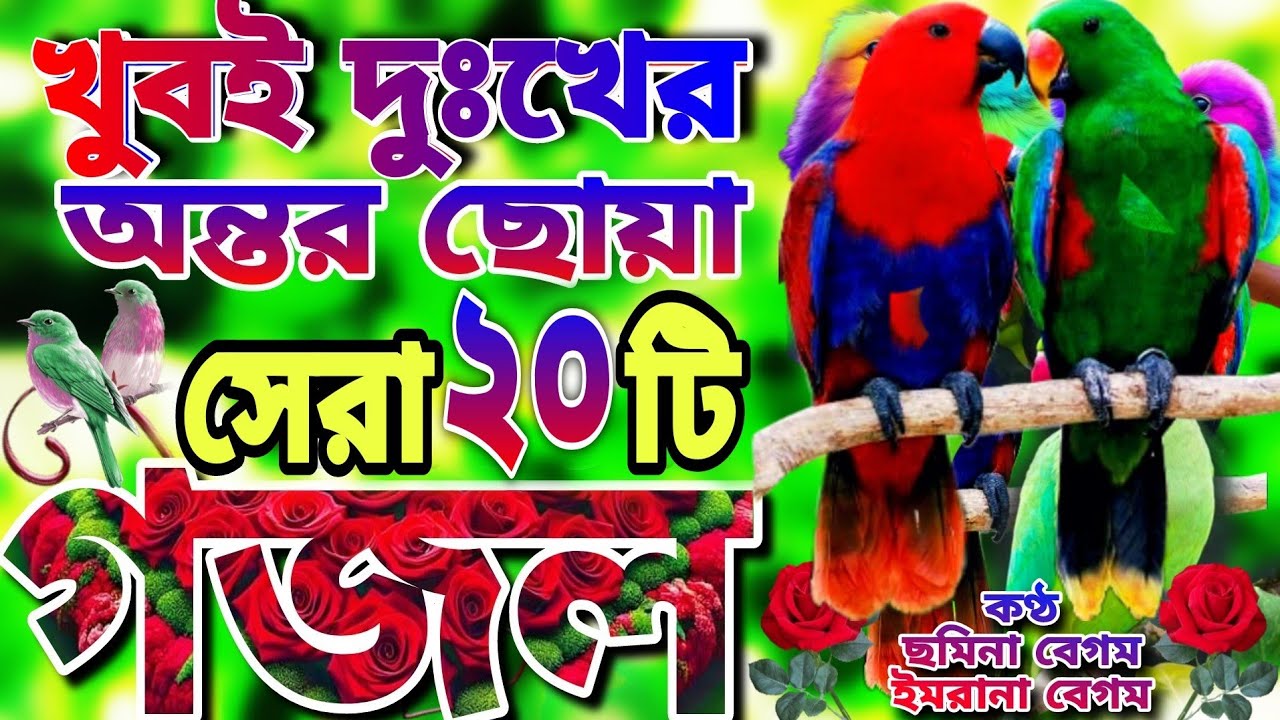 খুবই দুঃখের কবরের শেষ বিদায়ের কষ্টের সেরা ২০টি মন মাতানো গজল |Selected Gojol |New best islamic song