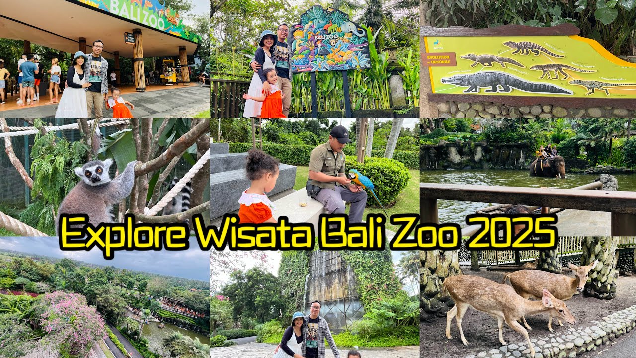 EXPLORE WISATA BALI ZOO TERLENGKAP TERBARU 2025 #balizoo #wisatabali #bali 