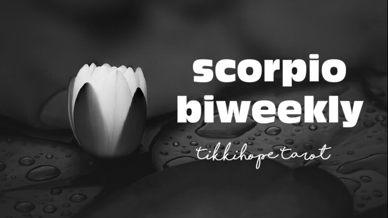 Scorpio Biweekly: Let Go & Enjoy Your New Love/Life | 18Apr - 02May