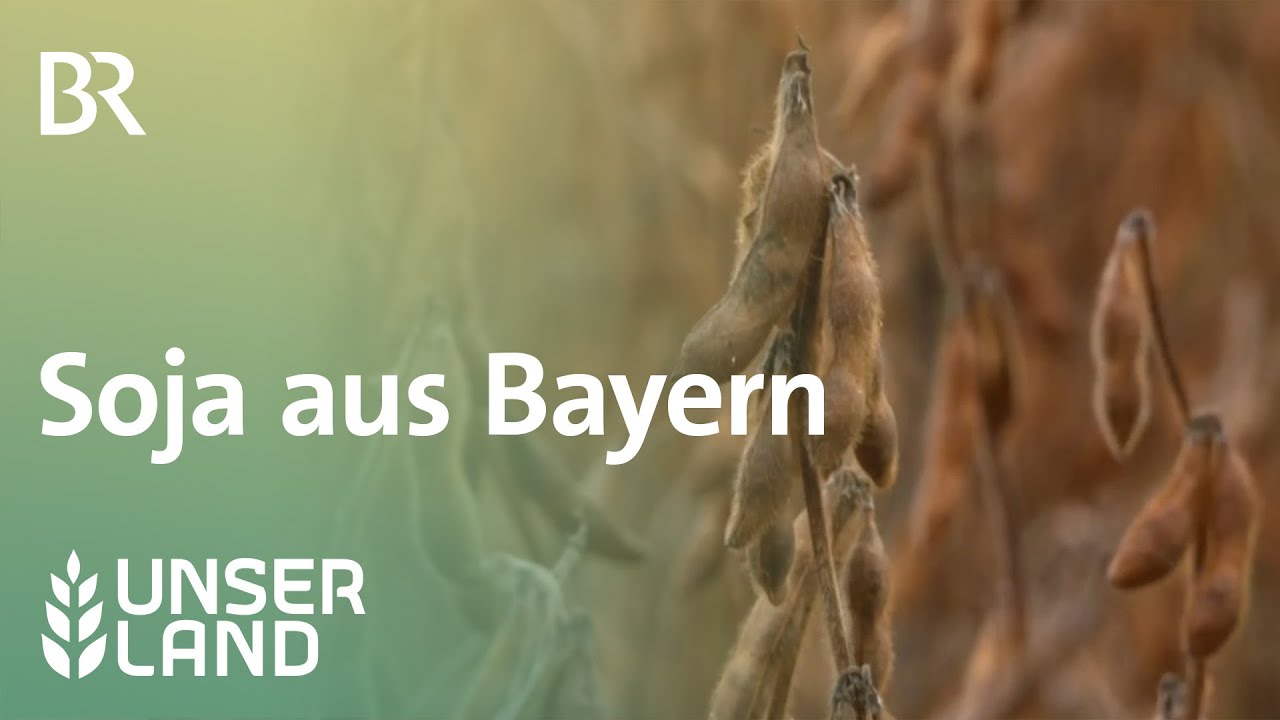 Soja aus Bayern | Unser Land | - BR Fernsehen