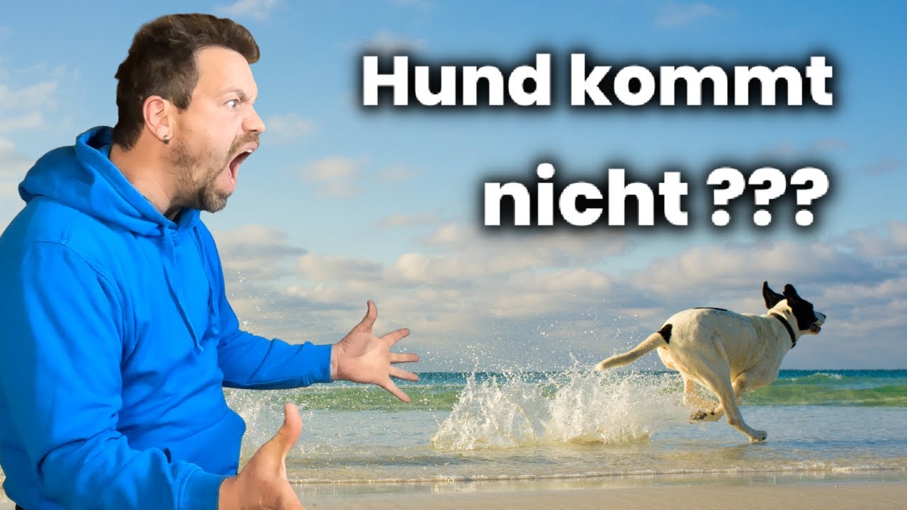 SO funktioniert dein Rückruf garantiert 😍 (Schritt für Schritt Anleitung)