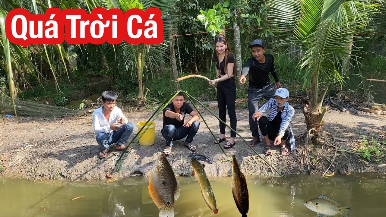 Bắt Sạch Ao Cá Bằng Cách Đơn Giản Của Người Dân Miền Tây,Cả Nhóm Được Bữa Ăn No Nê | Ly Ngô Vlog