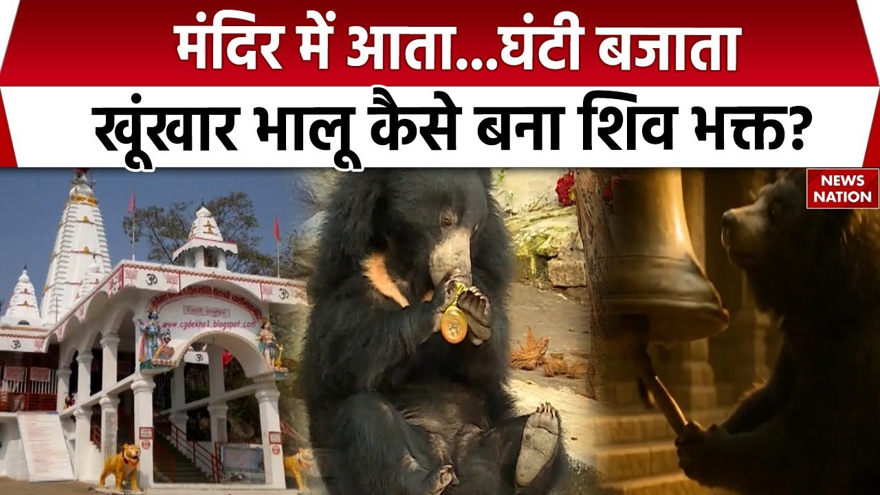 Chhattisgarh Kanker में अनोखा नजारा! मंदिर में जाकर घंटा बजाते नज़र आया भालू, Viral हुआ Video