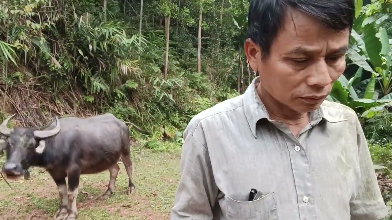 Lại tới công việc mối ngày lại lên rừng 