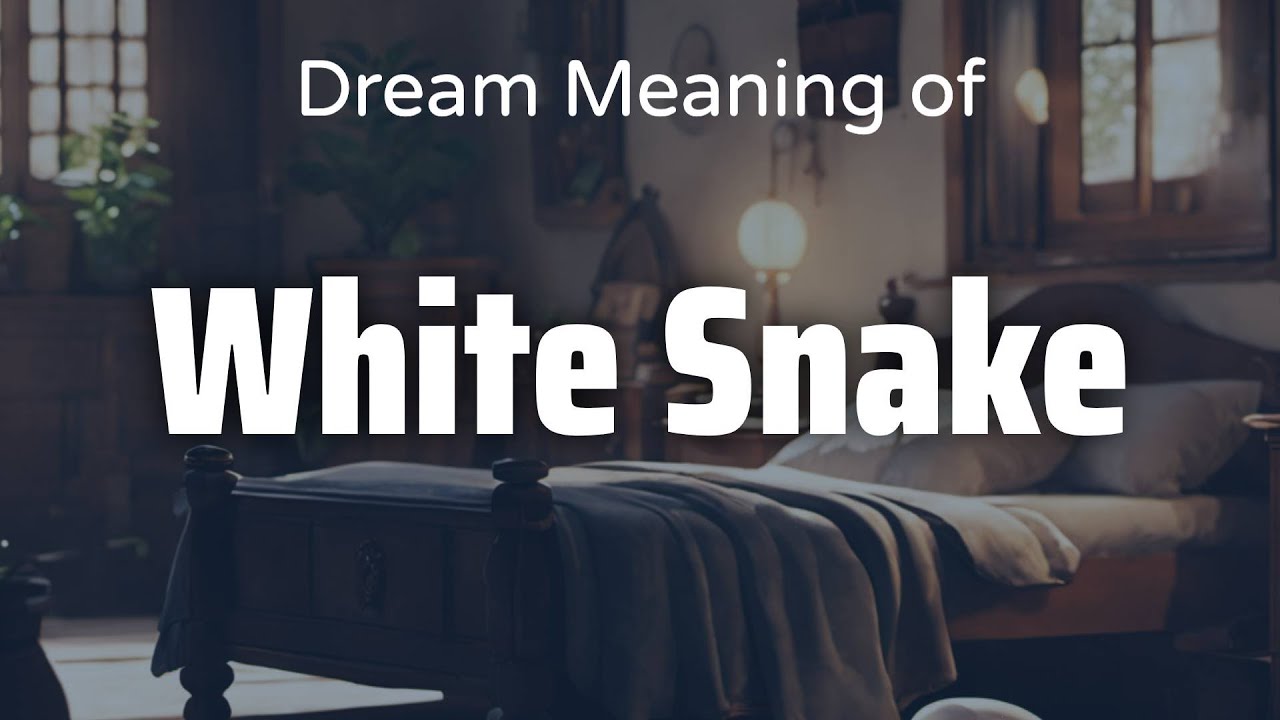 White Snake Dream Meaning & Symbolism | Interpretation Psychology