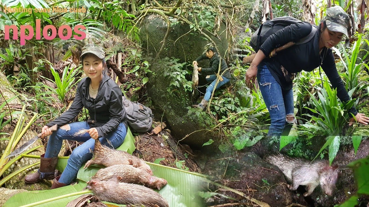 Hunting yo hav zoov suav hlua cuab nploos